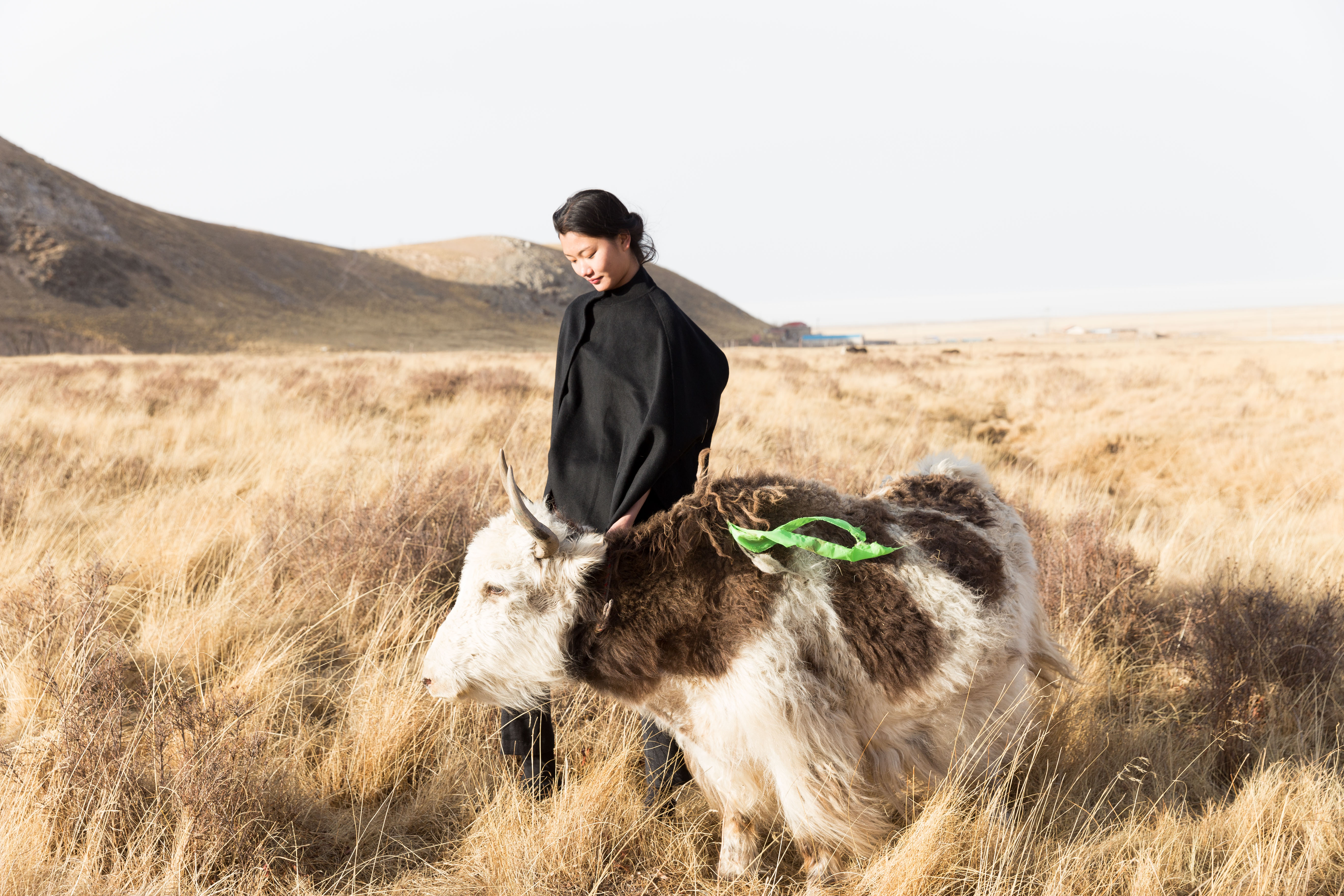 Women's Luxury Yak Wool Clothing & Accessories – SHOKAY