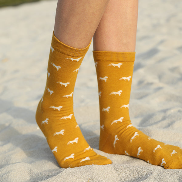 Yushu Socks Gift Set (Women)